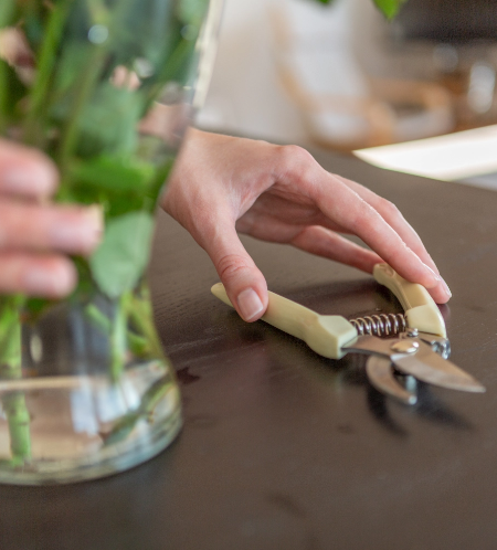 Cutting Flowers