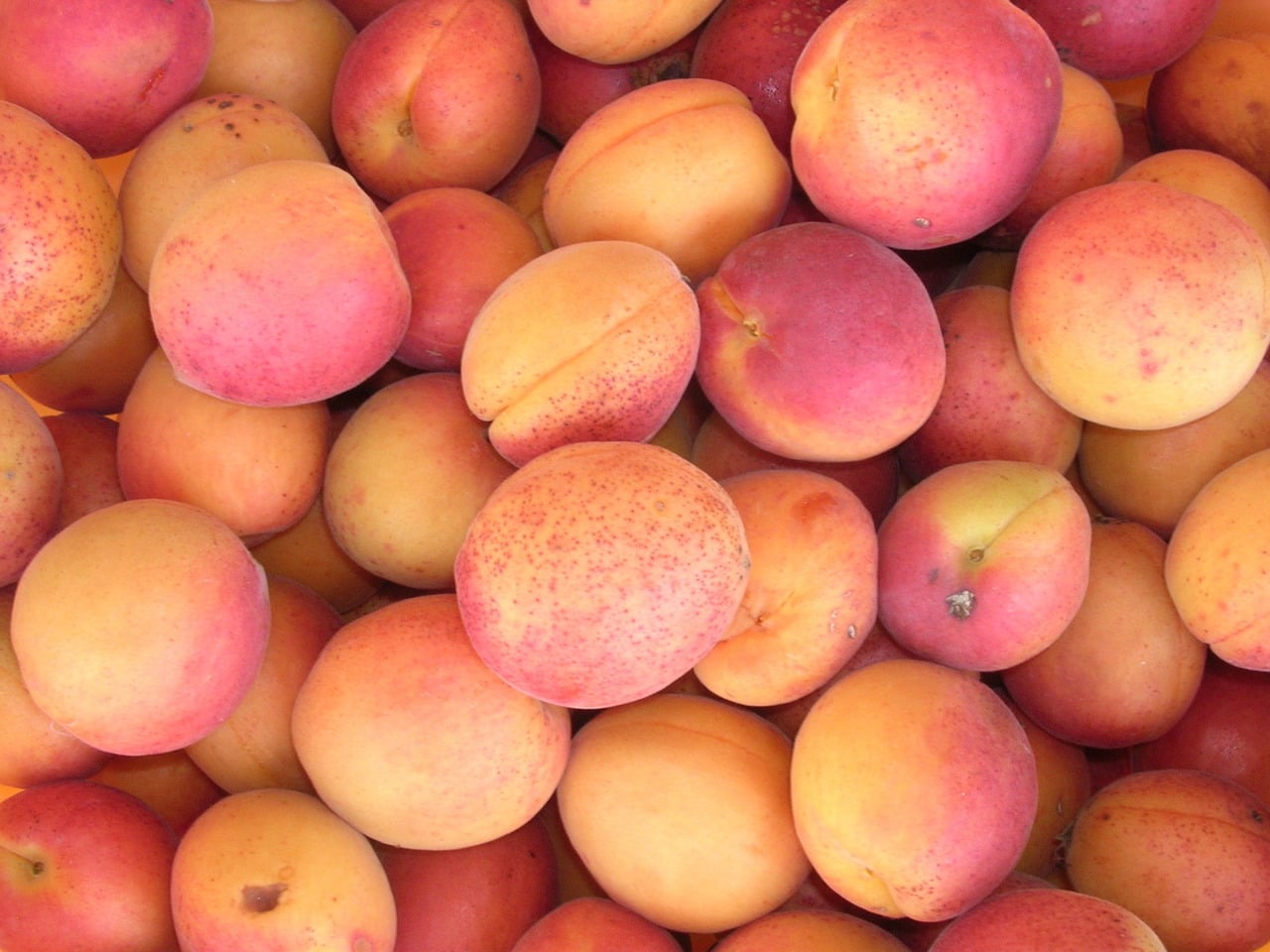 Red wine stewed fruit recipe