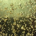 Cooking with champagne