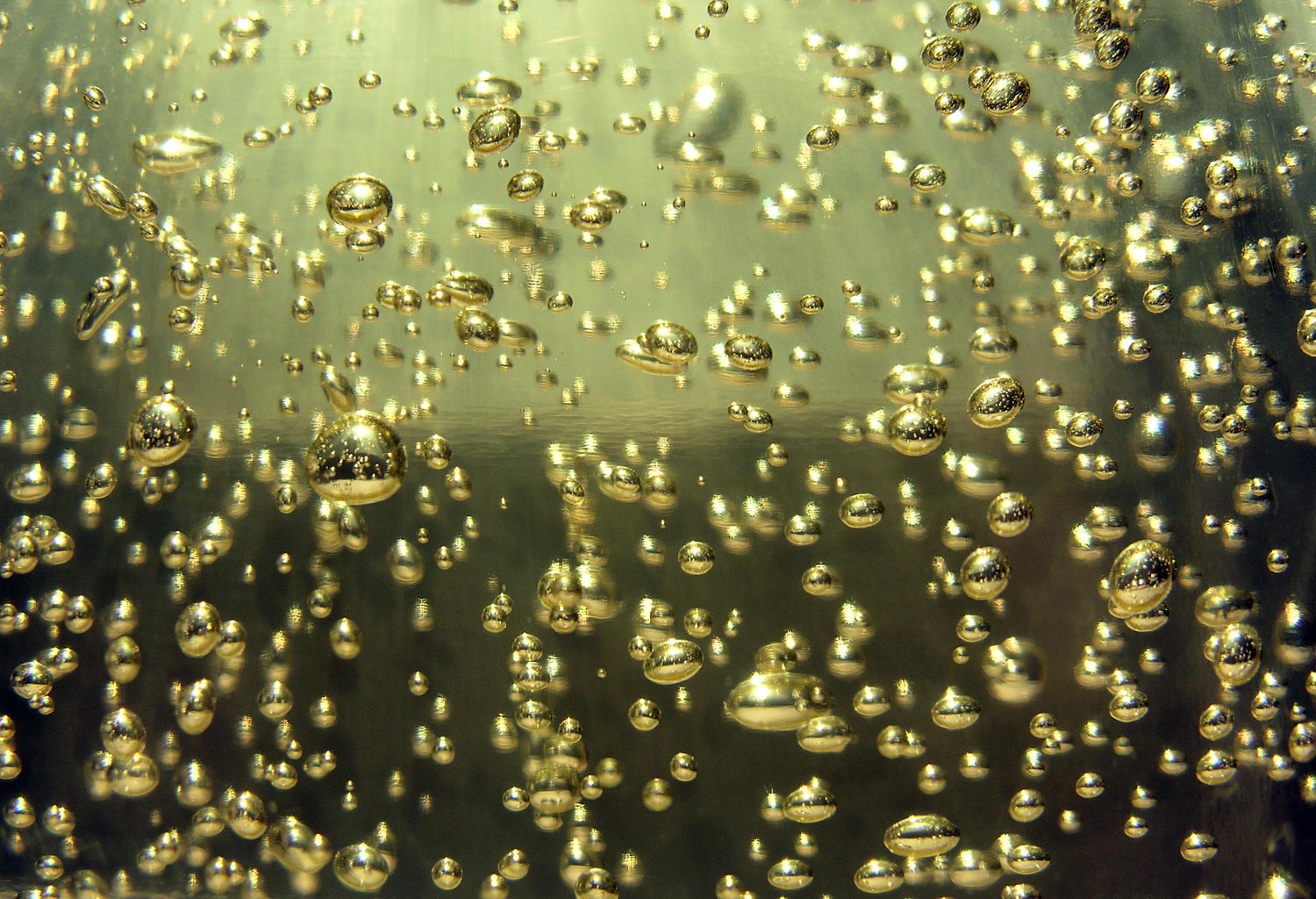 Cooking with champagne