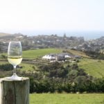 Wine pairing with spicy foods