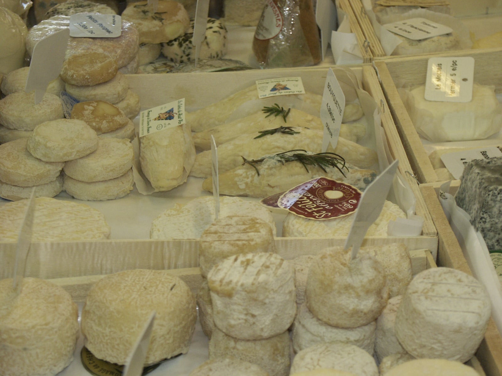Most expensive cheeses in the world