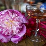 Prosecco cocktail recipes