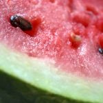 Watermelon cake recipe