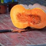 Pumpkin biscuit recipe