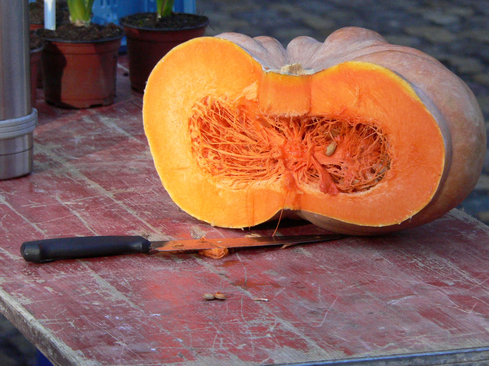 Pumpkin biscuit recipe