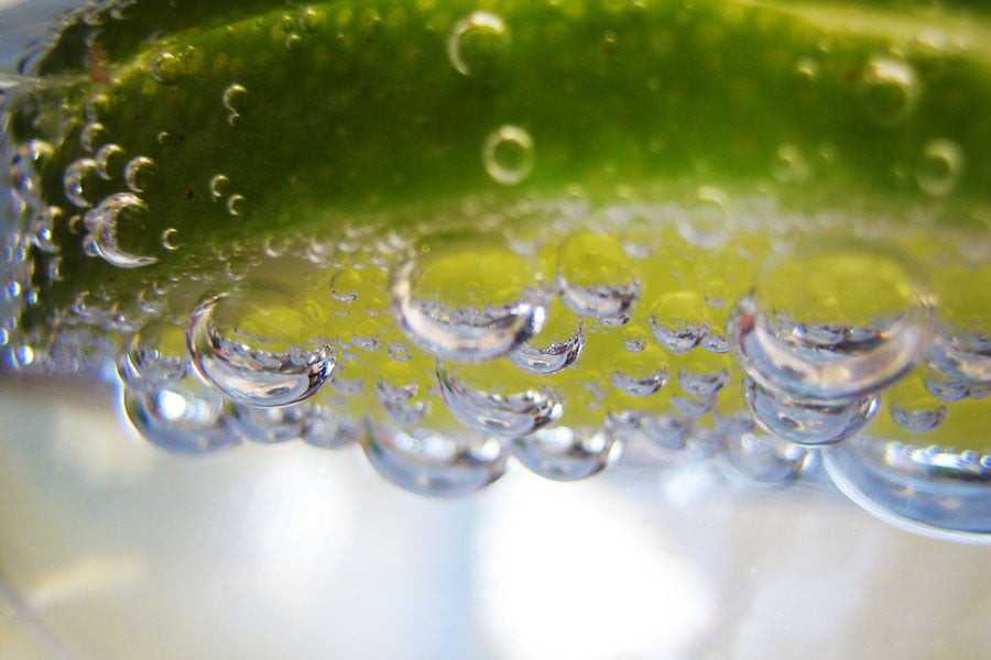 Bloat relieving foods