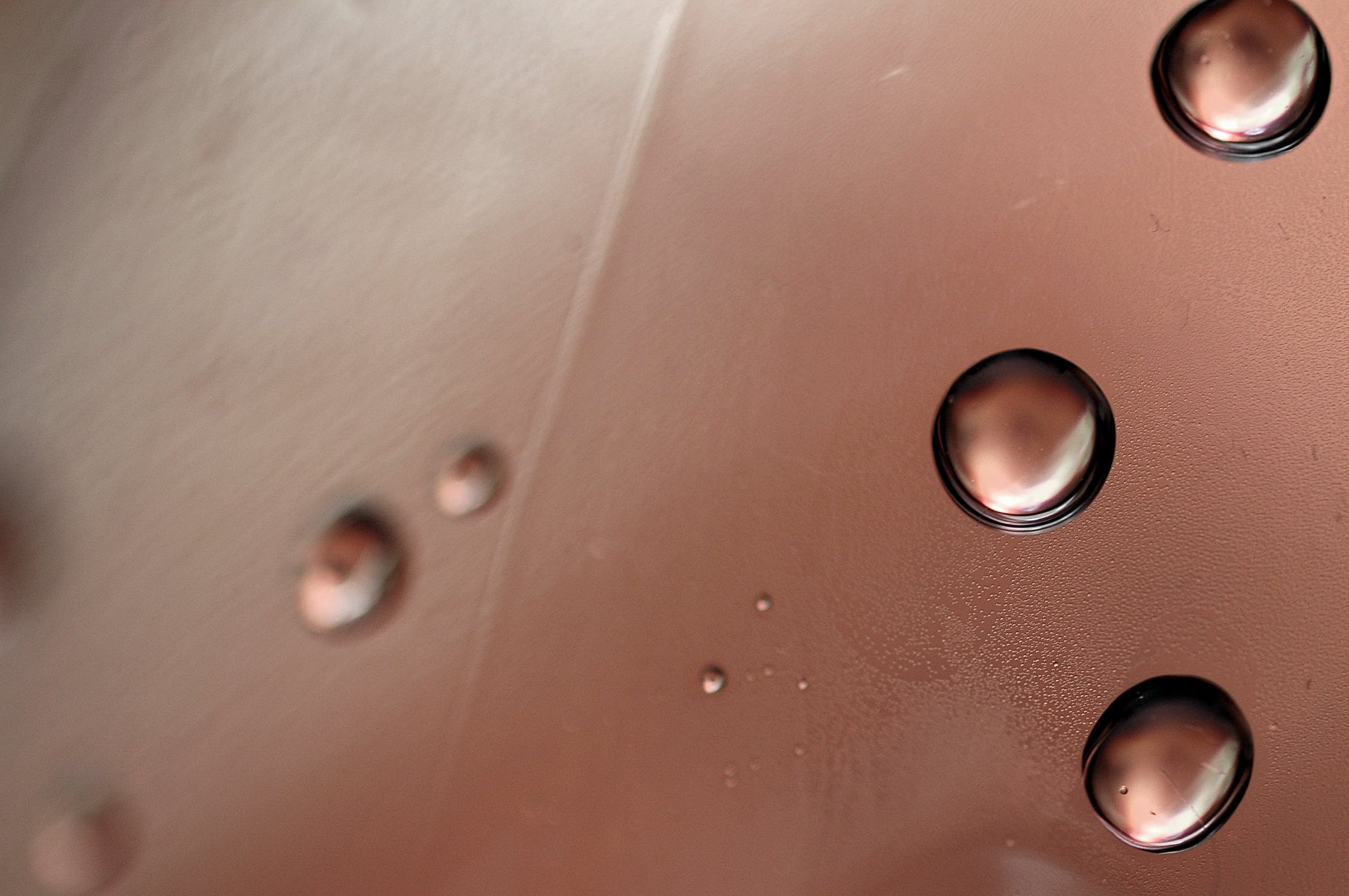 All about Bottega Gold