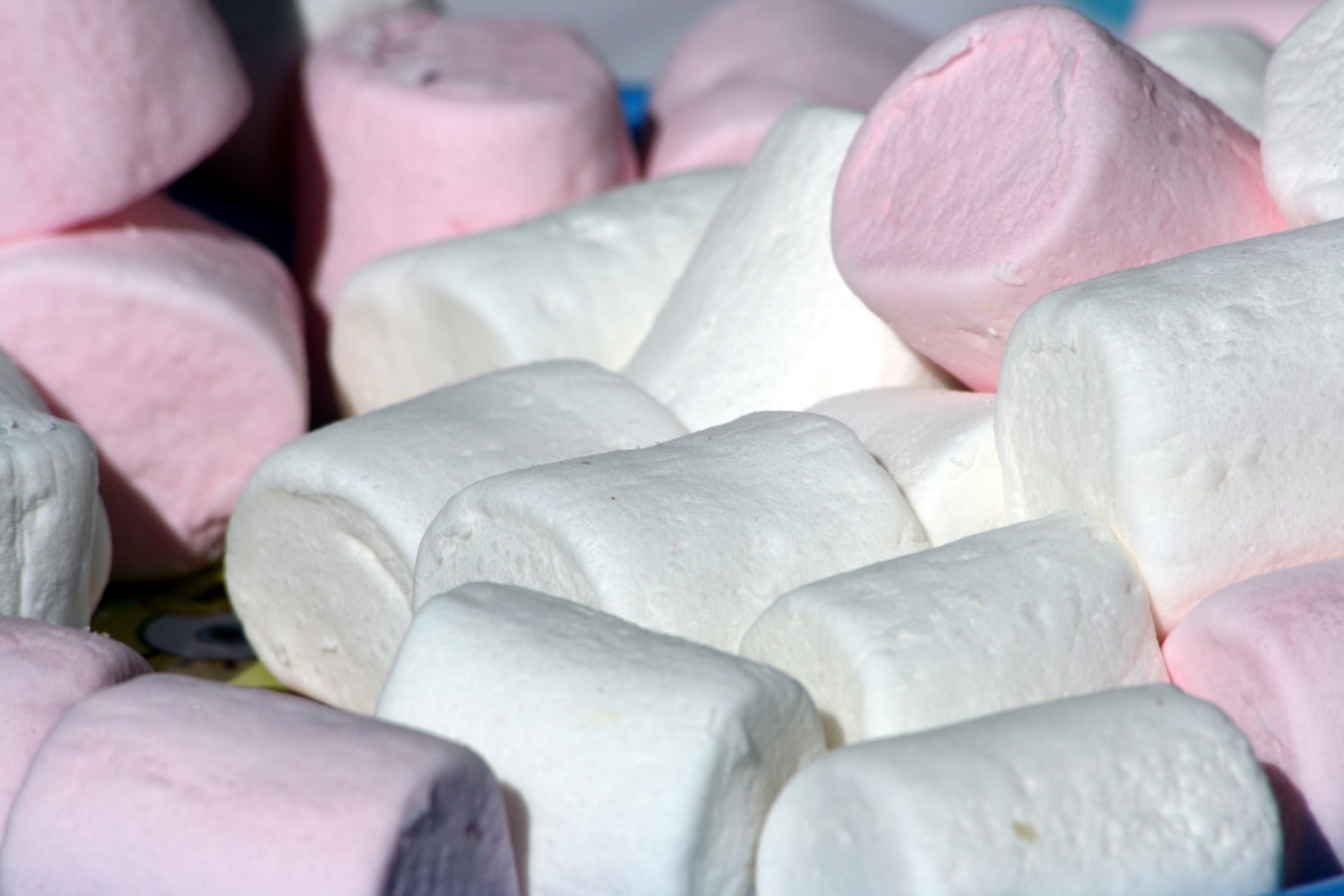 Sweet treats for kids