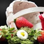 Spring seasonal produce