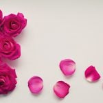 Rose water ice cream