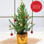 Send Christmas tree gifts