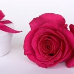 Valentine's Day gift