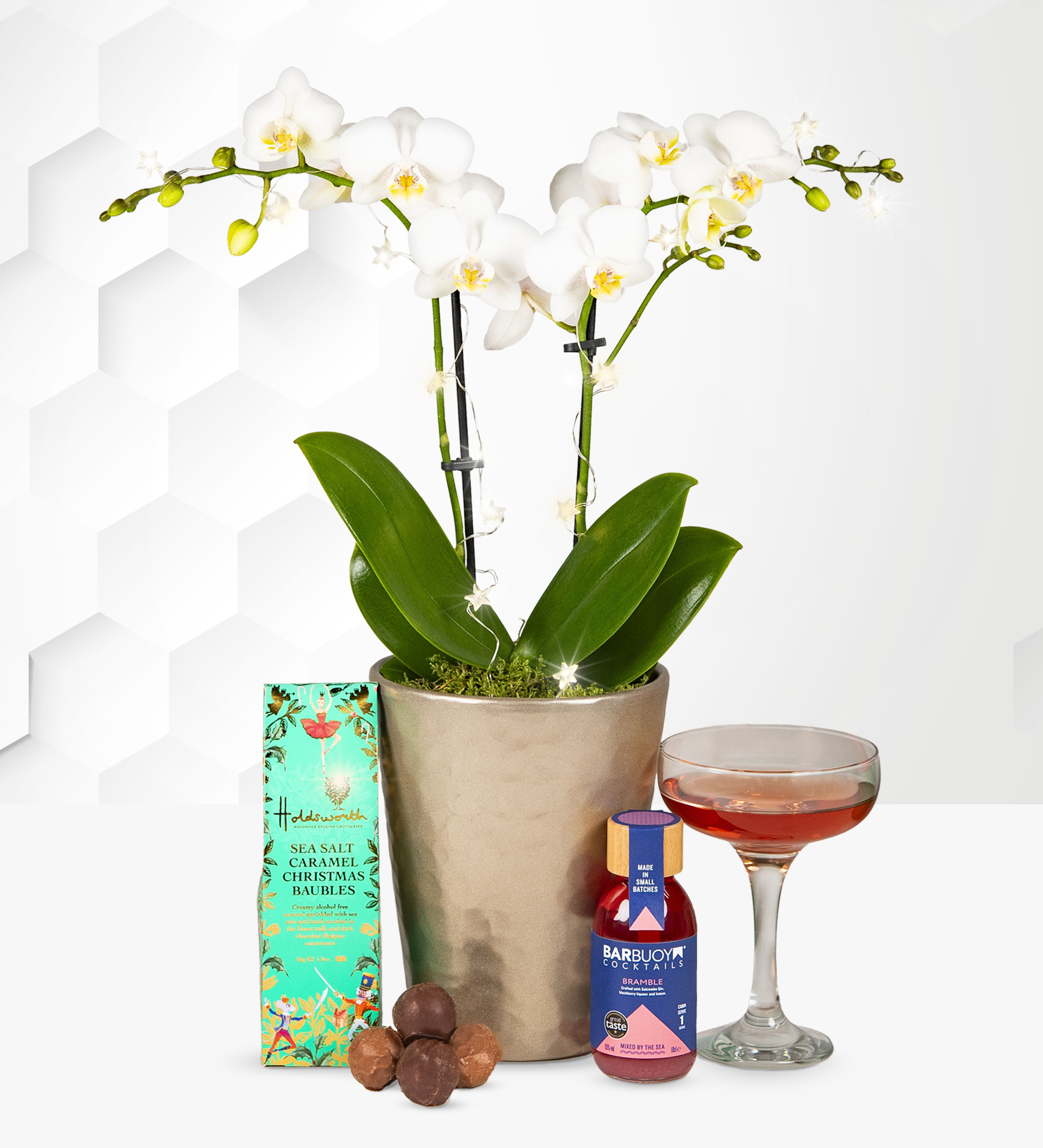 7+ Orchid Gifts Opulent Orchid Gift | Prestige Hampers
